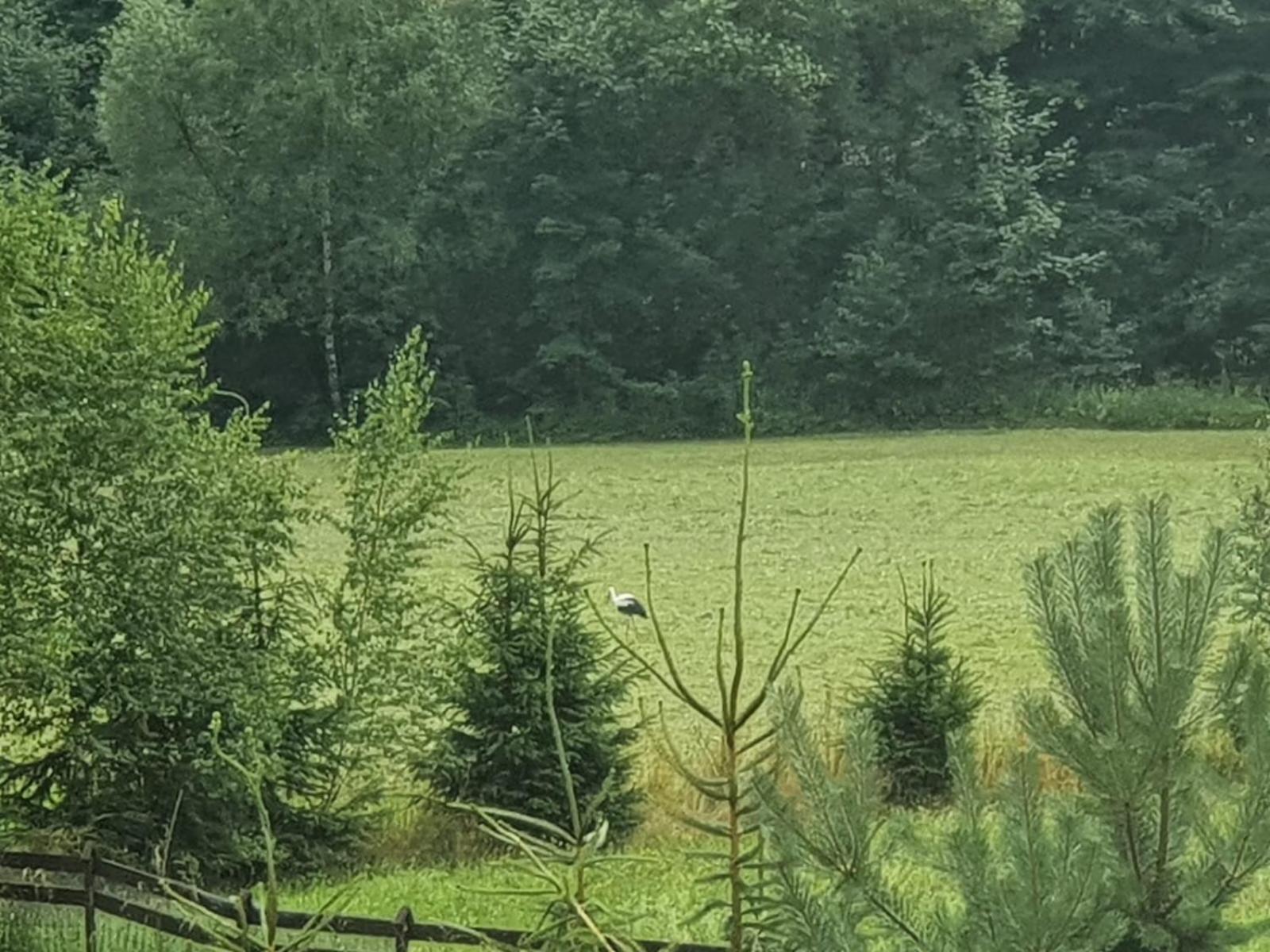 Wellness-Beskydy Villa Prostřední Bečva Eksteriør billede